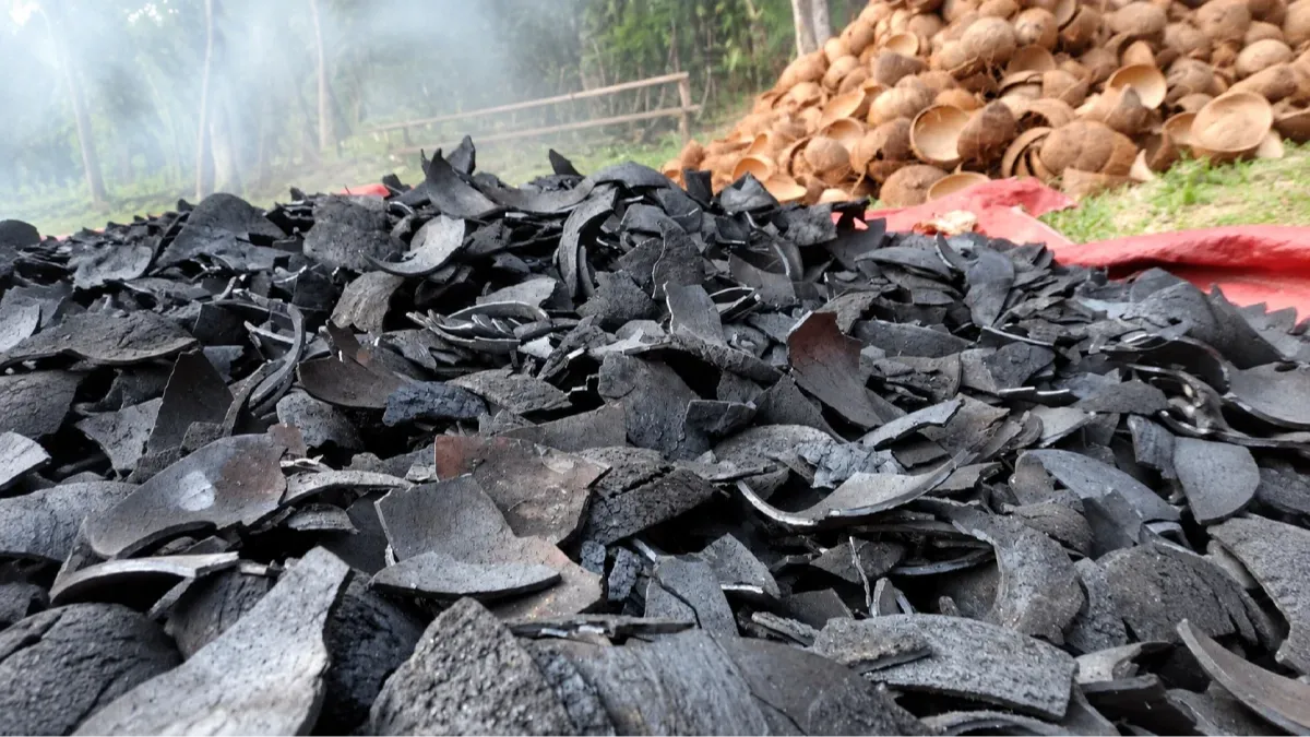CocoCharcoal Universal - From Coconut Shell to Charcoal: Understanding the Production Process